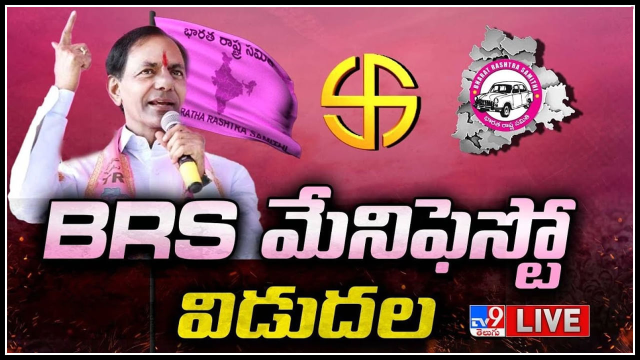 BRS Manifesto ఆసర పనషన ర 2016 నడ ర 5016క పప Telugu News