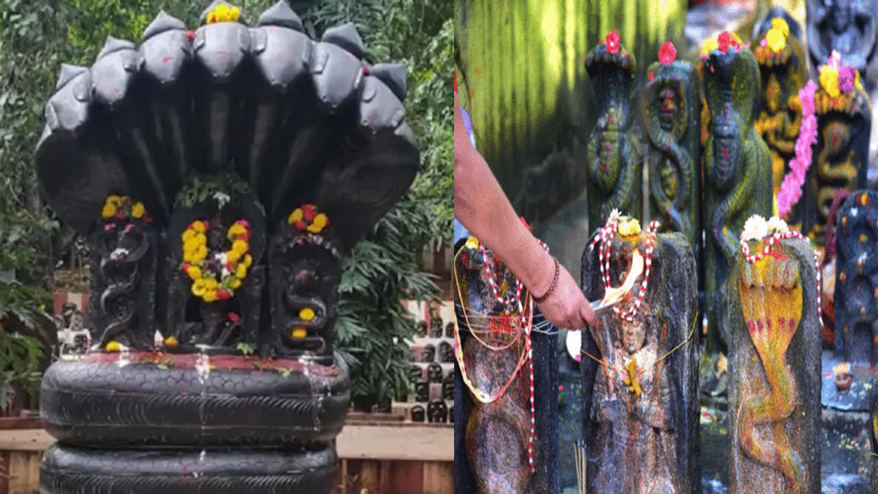 Nag Panchami నగ పచమ రజన ఈ అరదన యదచచకల ఈ సమయల పజసత