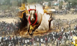 పుల్వామా ఉగ్రదాడిపై విచారణ చేపట్టిన ఎన్ఐఏ