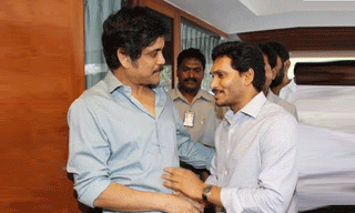 చెత్త కుప్పలో దొరికిన ఆ కుక్క పిల్ల… ఇప్పుడు పెద్ద స్టార్.!