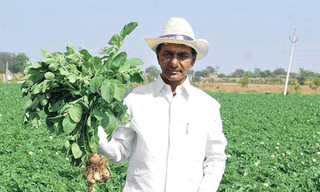 భారత విమానాశ్రయాల్లో హై అలర్ట్