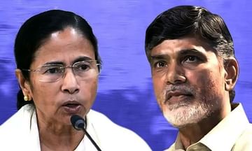 బాబుకు దీదీ మద్దతు