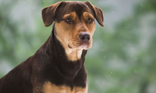 వయసు ఆరేళ్ళే.. కానీ ఈ ‘బాబు’ బాగా బిజీ.!