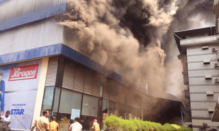 ఔషధ మొక్కల వన౦