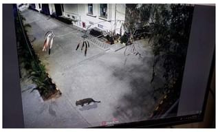 పుల్వామా కంటే భారీ ఉగ్రదాడికి జైషే ప్రణాళిక