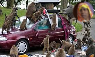 చంద్రబాబు అలా చేస్తే టీడీపీలో చేరతా: కొలుసు