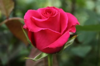 ఫార్మారంగ దిగ్గజం దివీస్‌‌‌‌‌ ల్యాబోరేటరీస్‌పై ఐటీ దాడులు