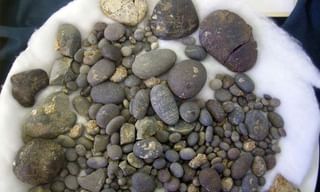 వైసీపీలోకి మరో టీడీపీ ఎంపీ