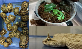 ఛత్తీస్‌గఢ్‌లో ఎన్‌కౌంటర్.. నలుగురు మావోల హతం