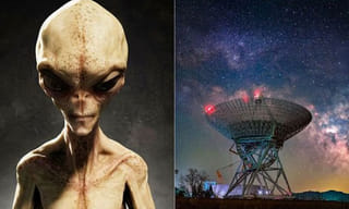 మాల్యాకు ఢిల్లీ హైకోర్టు షాక్