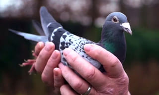 ఆ పార్టీలో అందరూ మహిళలే.. ఇదే దేశంలో మొదటిది.!