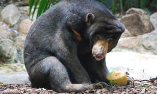 సోషల్ మీడియాను షేక్ చేస్తున్న‌ మైక్రోవేవ్ ఛాలెంజ్