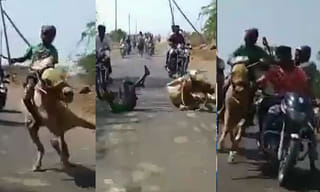 నాలో ఓ మహిళ ఉంది: కరణ్ జోహార్