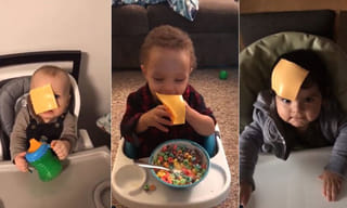 వెలిగొండ రిజర్వాయర్ వద్ద ఎలుగుబంటి హల్‌చల్