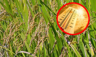 గొంతుకోసుకుని ఆత్మహత్యాయత్నానికి పాల్పడ్డ ఇంటర్ విద్యార్థి