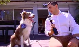 దారుణం: నిలుచోబెట్టి కాన్పు చేసి.. నరకం చూపించారు