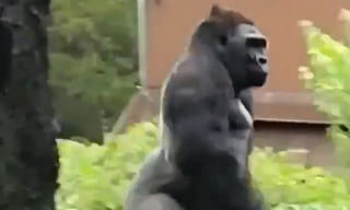 రాజకీయాలు మాట్లాడొద్దంటూ టీకొట్టులో బోర్డు