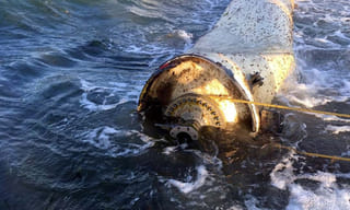 వివేకానంద రెడ్డి హత్య కేసుపై హైకోర్టులో వాదనలు