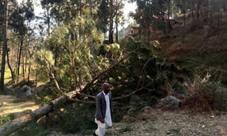 సౌదీ అరేబియా సంచలన నిర్ణయం.. బిన్ లాడెన్ కుమారుడి పౌరసత్వం రద్దు