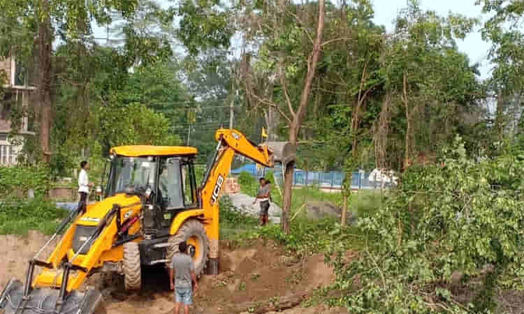 చెట్లు నరికినందుకు ఓ వ్యక్తికి 27 వేలు జరిమానా