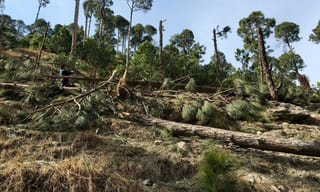 టీడీపీలో చేరిన కోట్ల సూర్యప్రకాష్ రెడ్డి