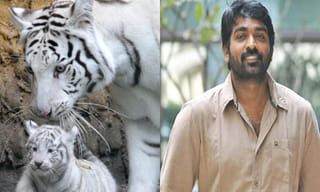 కమాండర్ అభినందన్ మూవీ..!