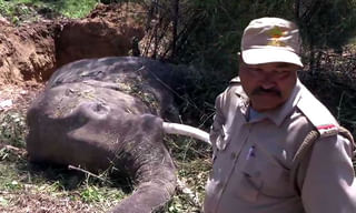 అతనికి గుణపాఠం చెప్పాలనే..