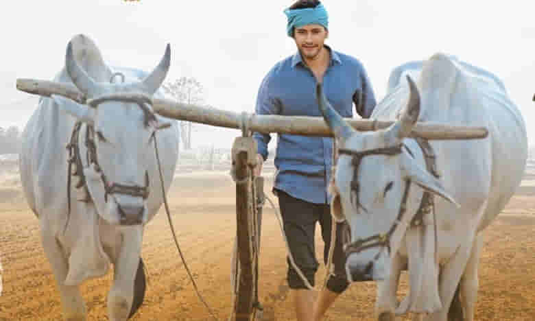 నా డైరక్టర్లూ..మహర్షి ప్రీ రిలీజ్ వేడుకకు రారండి!