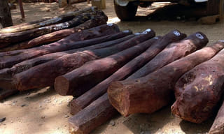 సీఎం రమేష్ మేనల్లుడు ఆత్మహత్య..!