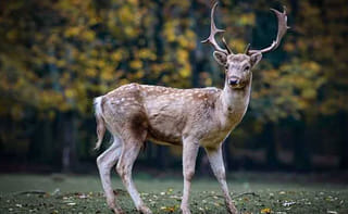 కూతుర్ల బాయ్‌ఫ్రెండ్స్‌‌తో శృంగారం… ఆపై జైలుకు