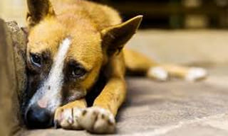 భూమి కోసం గొడ్డళ్లతో దాడులు..