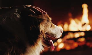 ఓటమి భయం చంద్రబాబులో స్పష్టంగా కనిపిస్తోంది : తలసాని