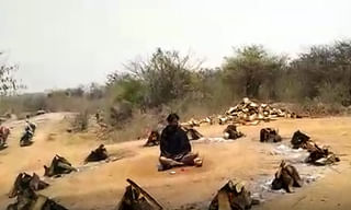 టీవీ9 ‘భారత్ వర్ష్’ ఛానల్ ప్రారంభ కార్యక్రమంలో రాజ్‌నాథ్ సింగ్