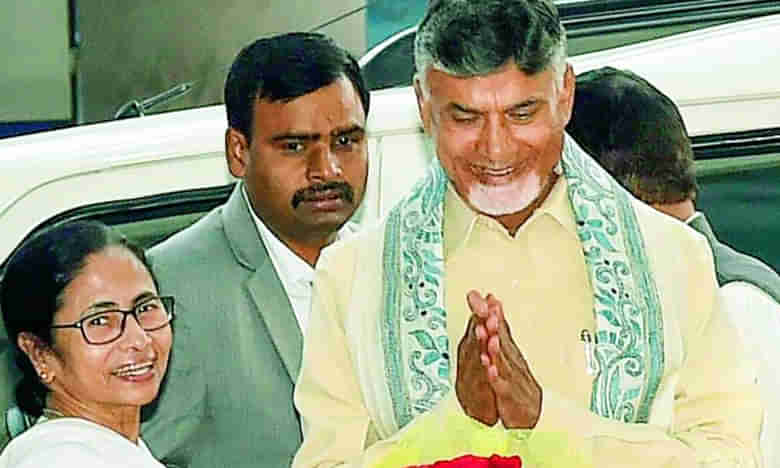 మమత బెంగాల్ టైగర్- చంద్రబాబు