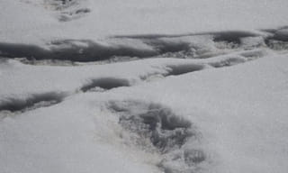 యూపీలో బాంబు బ్లాస్టులు జరగొచ్చు..ఐబీ వార్నింగ్