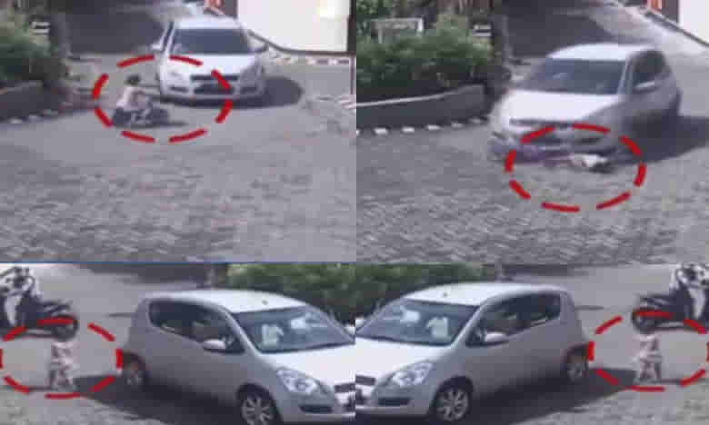 కారు కింద పడ్డా.. లేచి పరుగు తీసింది..!