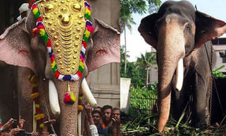 ఎయిర్‌టెల్ కస్టమర్లకు ఉచిత ‘లైఫ్ ఇన్సూరెన్స్’!