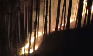 లేడీ డాక్టర్ ఆత్మహత్య కేసులో ముగ్గురి అరెస్ట్