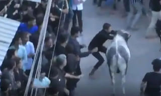 టీడీఎల్పీ నేతగా చంద్రబాబా..? మరొకరా..?