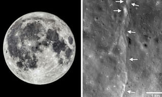 సూపర్ మార్కెట్ టమోటాలకు ‘స్వర్ణయుగం’!