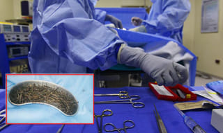 రాజకీయాల్లోకి రావాలంటే సిగ్గు…