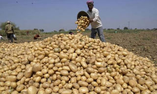 ఇంటర్‌ మొదటి విడత ప్రవేశాలకు షెడ్యూల్‌ విడుదల