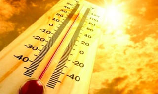 కిడ్నీ రాకెట్ కేసు: శ్రద్ధ హాస్పిటల్ సీజ్