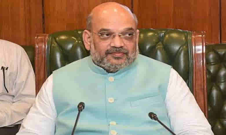 బీజేపీ అధ్యక్షుడిగా అమిత్ షా... మరో ఆర్నెల్లు