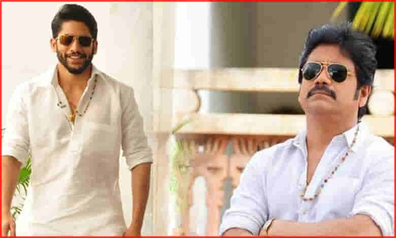 తాతామనవళ్లుగా నాగ్, చైతూ