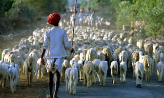 అస్సాం…నిప్పులు చిమ్ముతున్న చమురు బావి.. మరో మూడు వారాల పాటు మంటలు