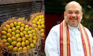 పీకేను సంప్రదించలేదు – సీఎం రమేష్