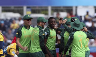 ఐసీసీ ప్రపంచకప్ 2019: ఈసారి వరుణుడి స్థానంలో తేనెటీగలు!