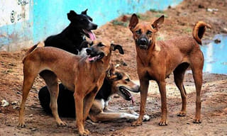 ఐదేళ్ల కష్టానికి ప్రజలిచ్చిన గిఫ్ట్ ఇది..