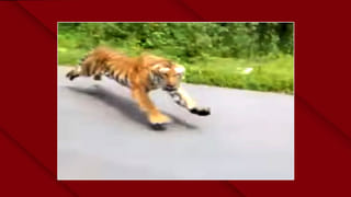 పట్టాలు తప్పిన గూడ్స్.. పలు ట్రైన్లు రద్దు